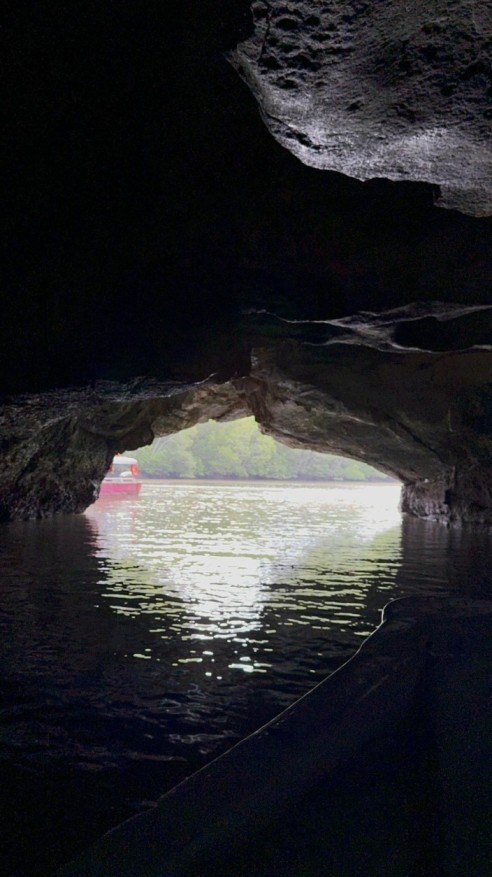 Private Mangrove Tour in Langkawi 4 Hours